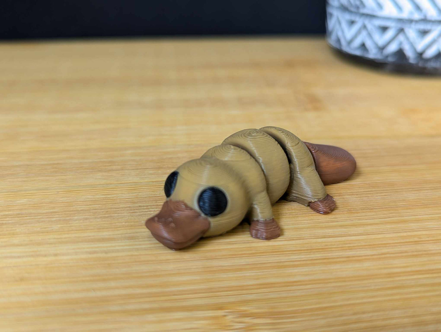 Baby Platypus