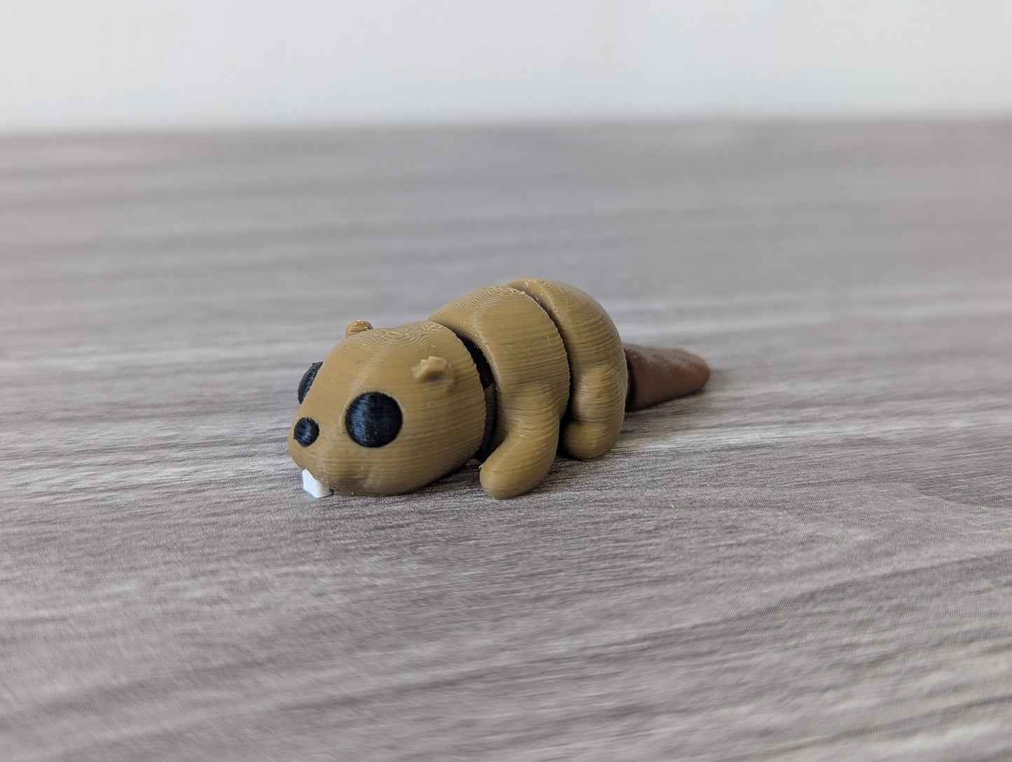 Baby Beaver