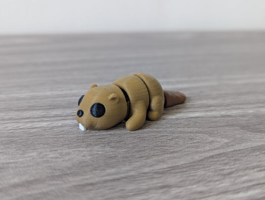 Baby Beaver