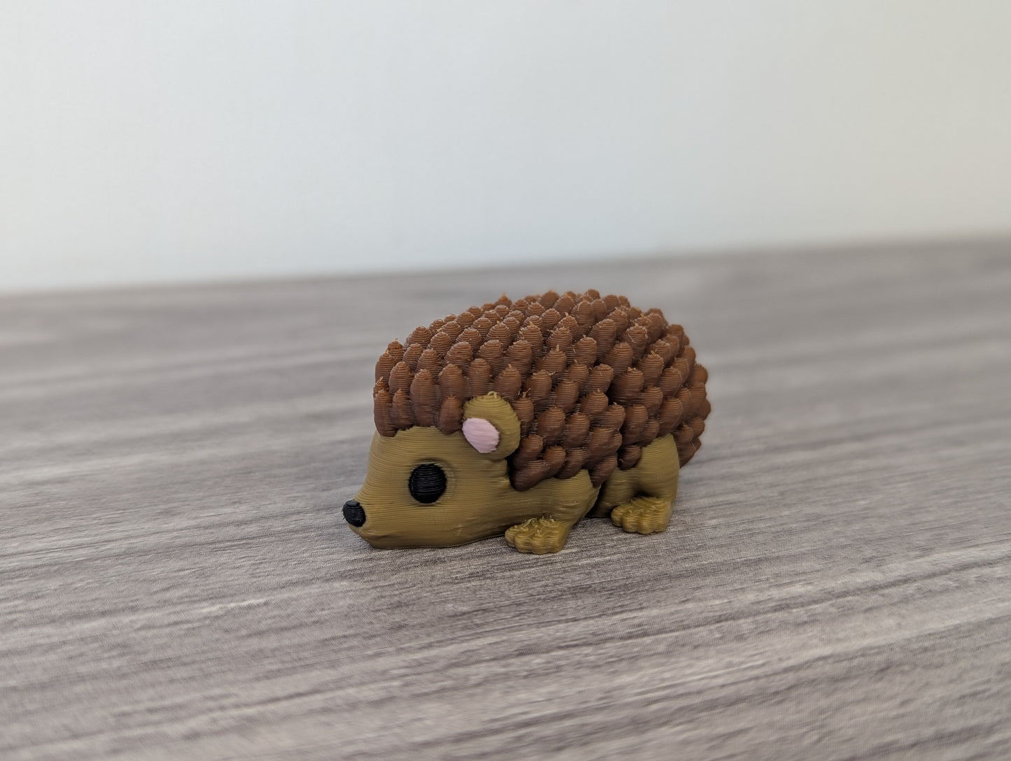 Baby Hedgehog