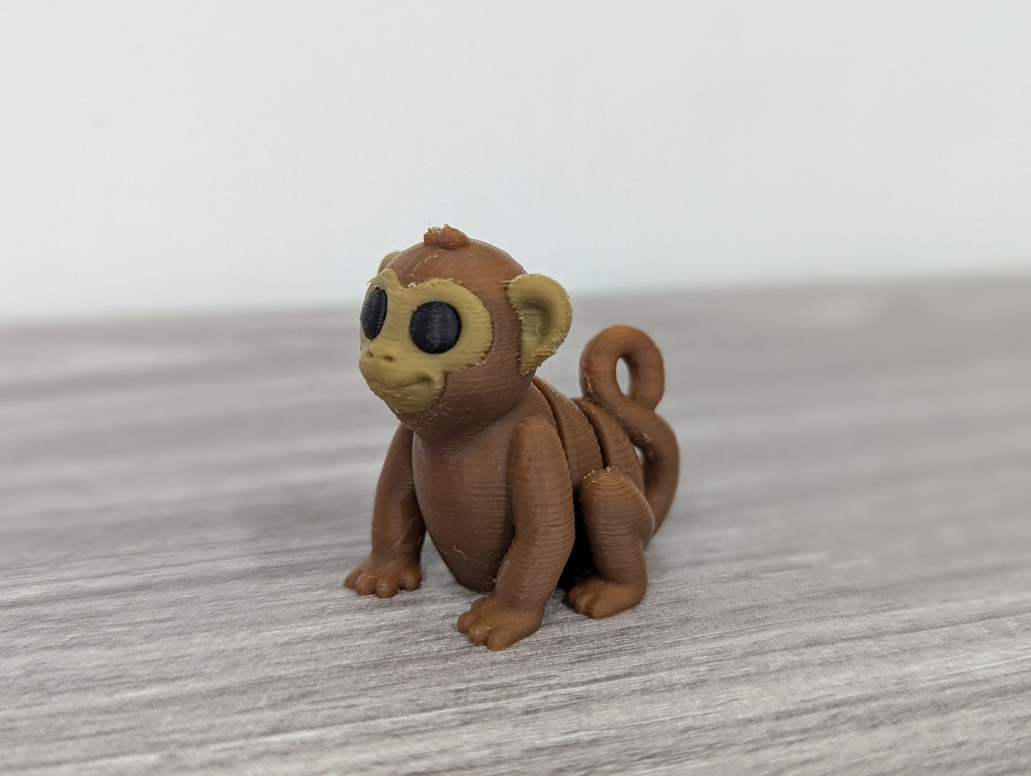 Baby Monkey
