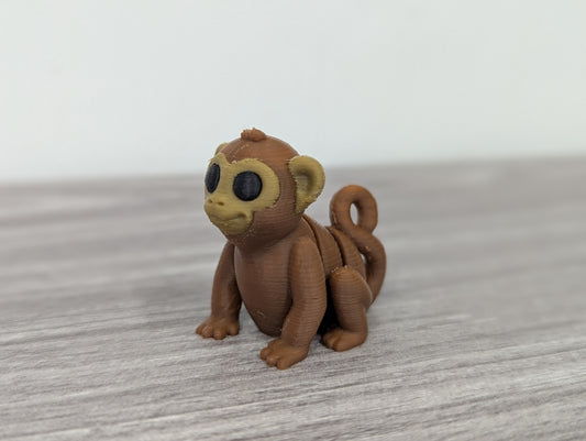Baby Monkey