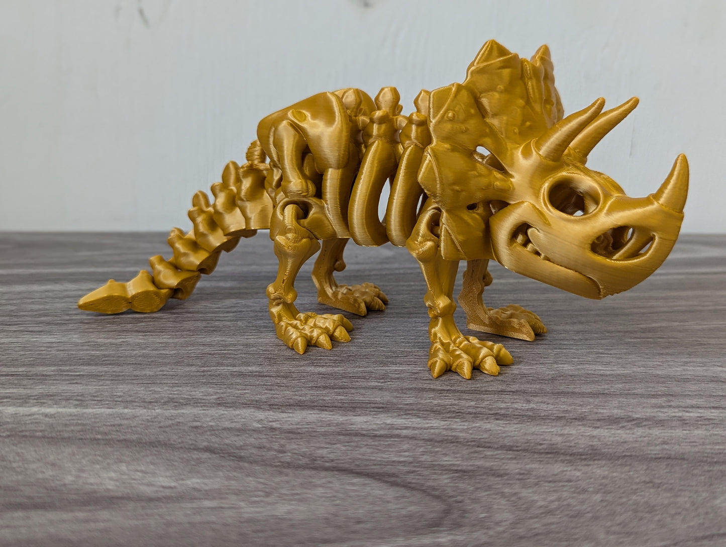 Skeleton Triceratops