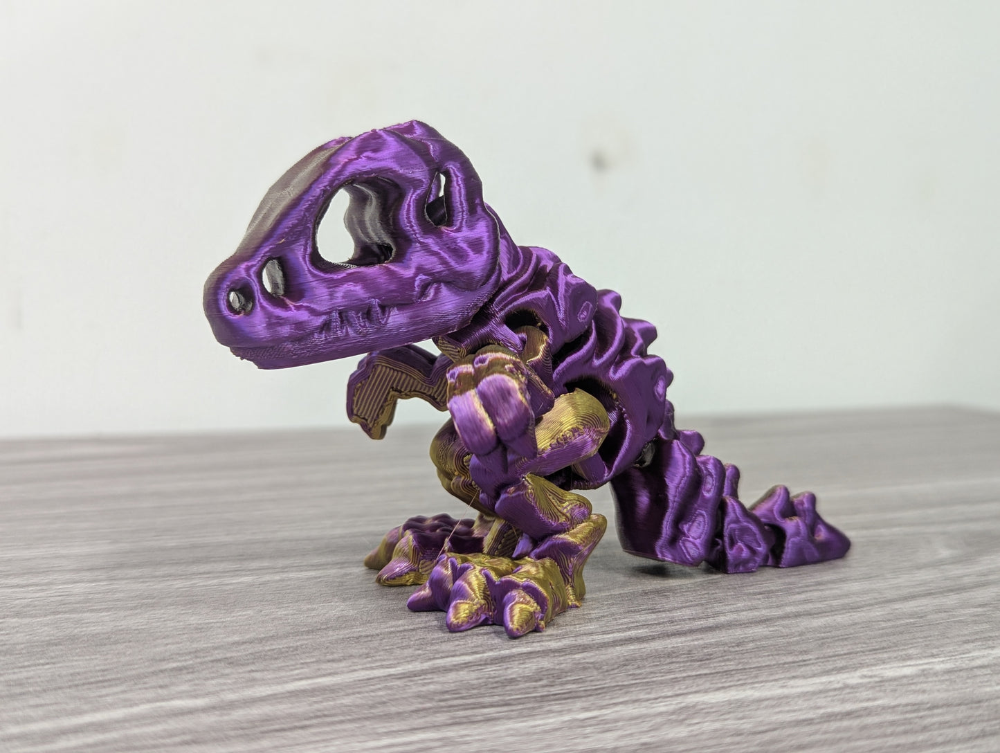 Cute T-Rex Skeleton