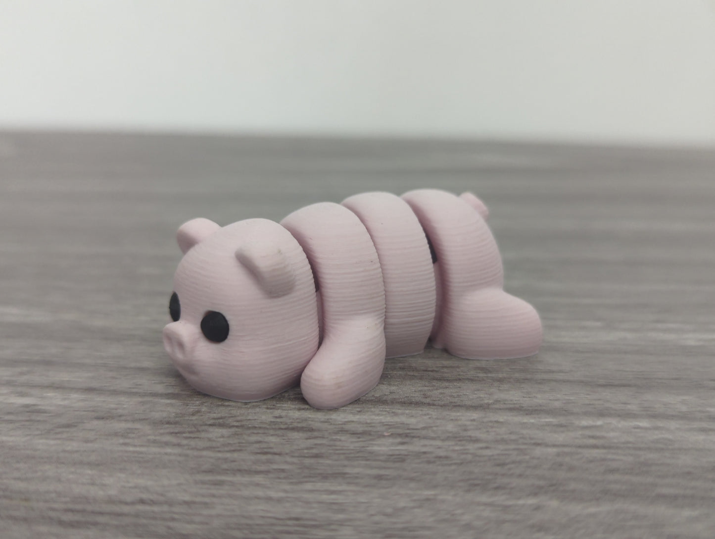 Baby Pig