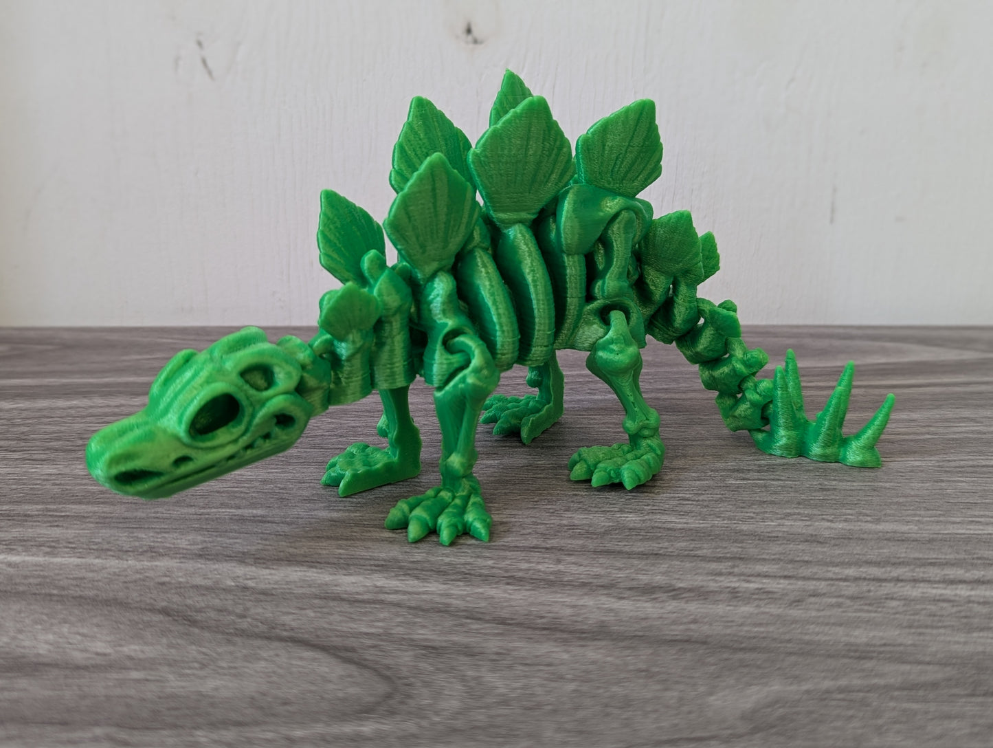 Skeleton Stegosaurus