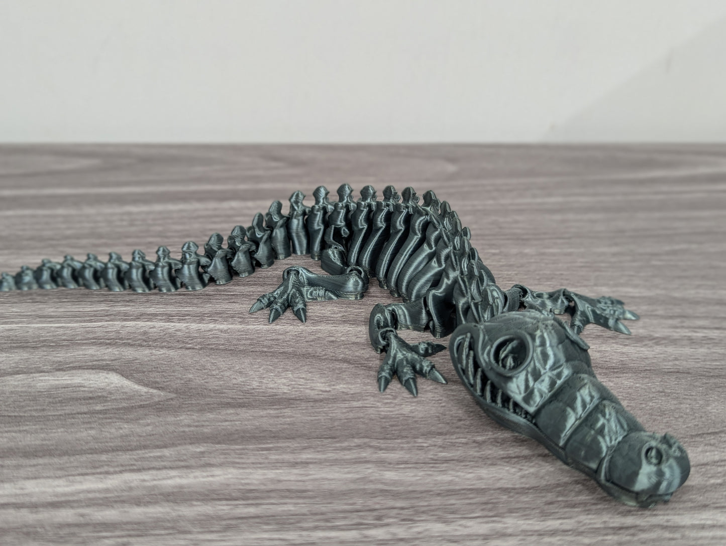 Crocodile Skeleton