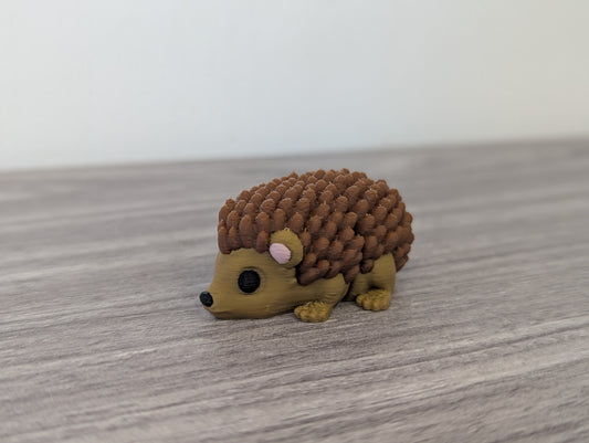 Baby Hedgehog