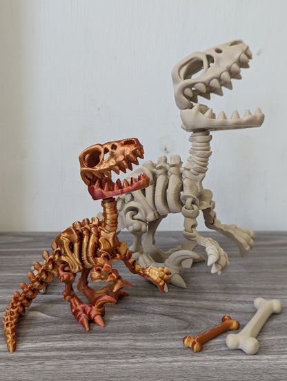 Skeleton Velociraptor