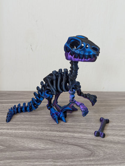 Skeleton Velociraptor