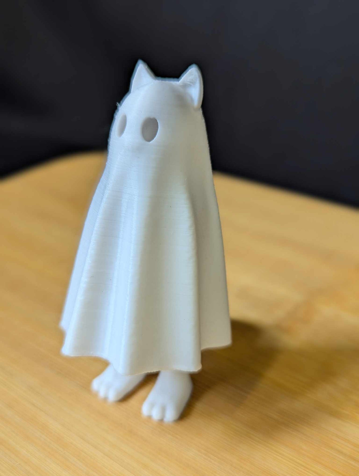 Ghost Cat