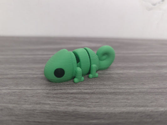 Baby Chameleon